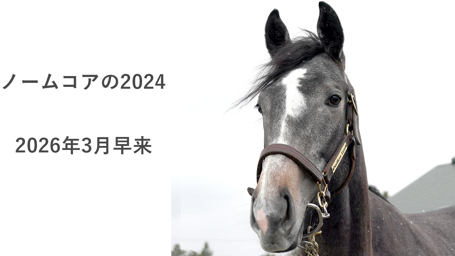2歳馬情報：ソブリオ（ノームコアの2024）3月上旬