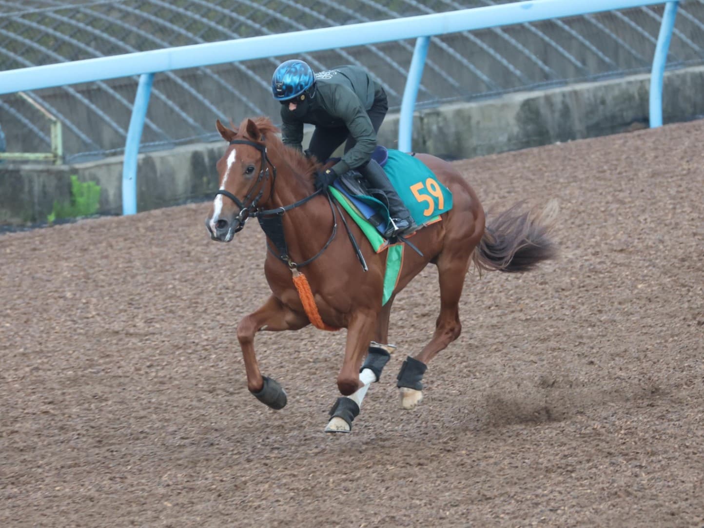 相沢師コラム・トレセン365日WEB版（431）：初勝利へ向けて距離延長・エーアイクワイ