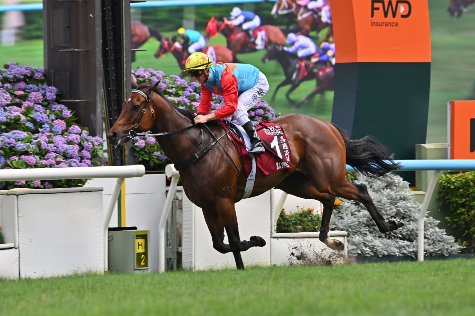 遥かなる世界の競馬地図：ロンジンワールドベストホースランキングの最新版が発表　英2000ギニー圧勝馬が世界の中心へ！？