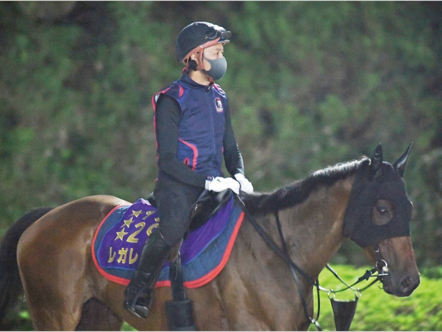 産経賞オールカマー（9月20日 中山 GⅡ 芝2200㍍）