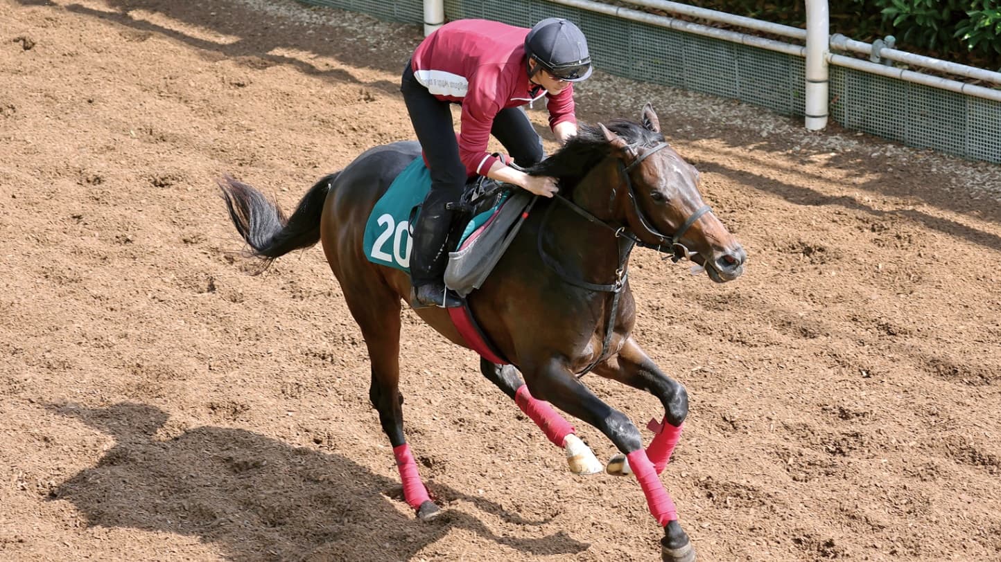 注目!!2歳新馬 新馬戦開幕ウイーク特別版