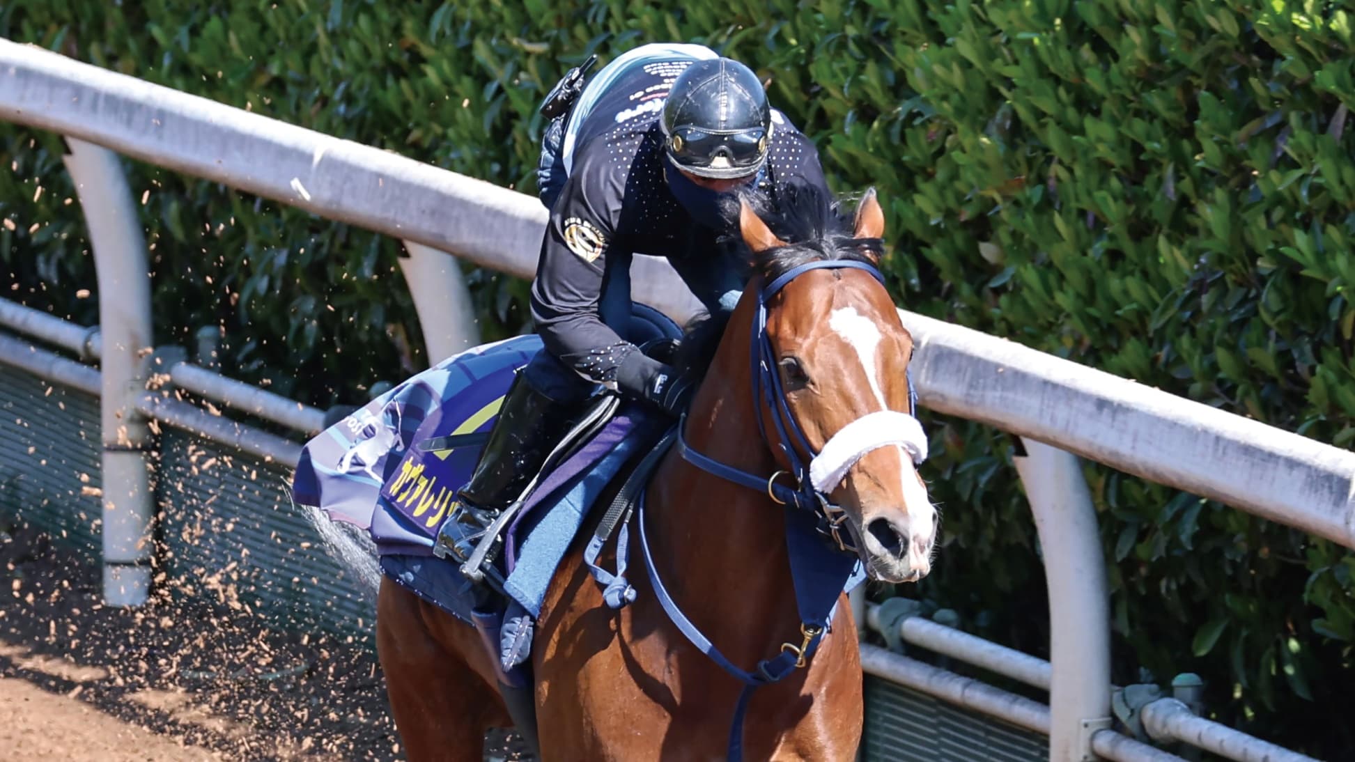 第86回皐月賞（4月19日 中山 GⅠ 芝2000㍍）