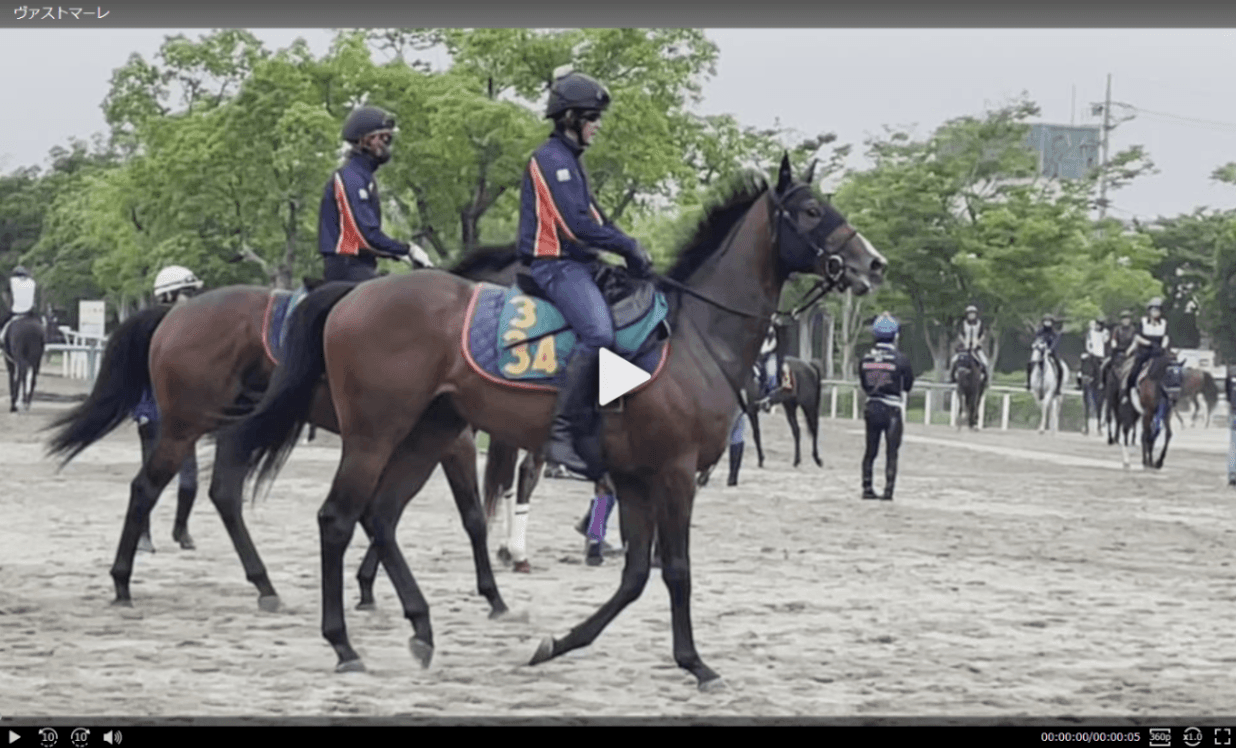 【動画・2歳盛り】ヴァストマーレ
