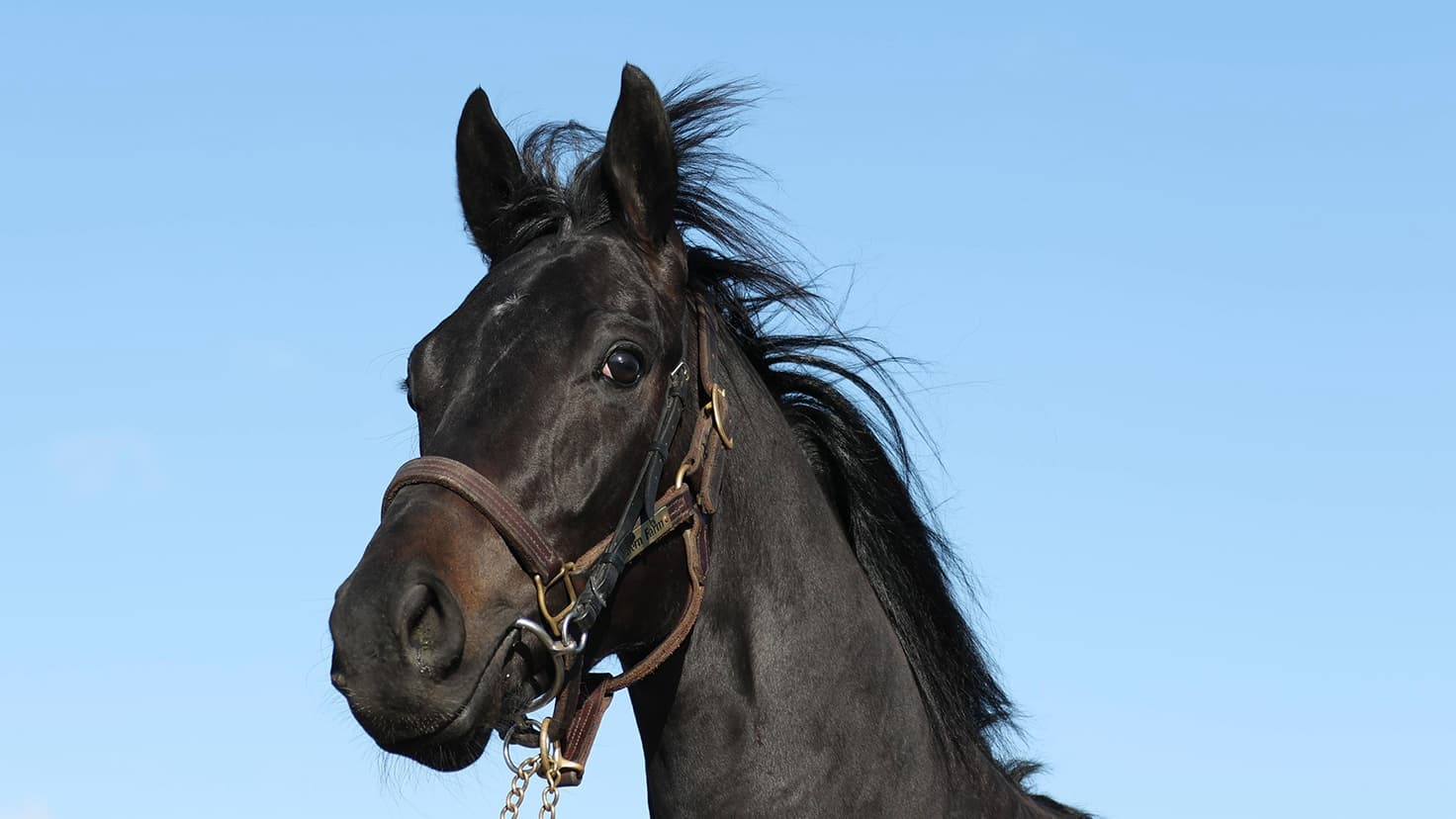 2歳馬情報：ラガリーガ（ラサルダンの2024）3月中旬