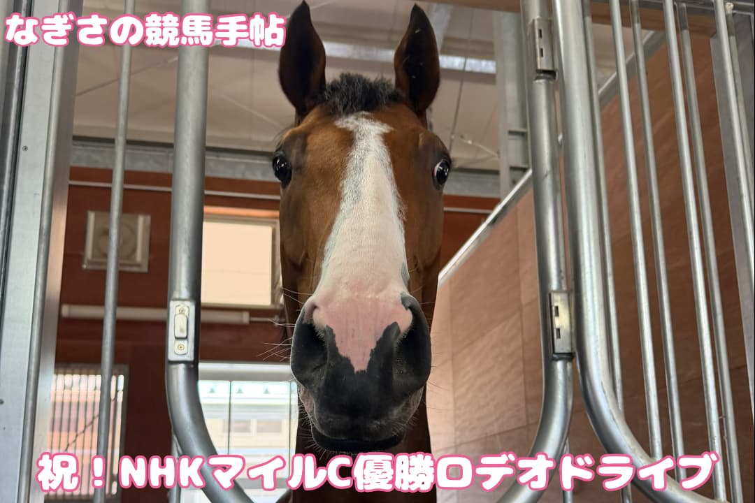 なぎさの競馬手帖：祝！　NHKマイルC優勝ロデオドライブ