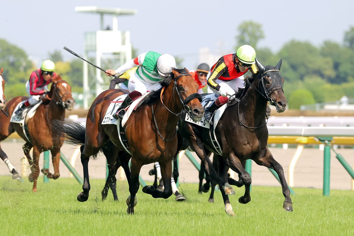 【日本ダービー過去10年】2021年シャフリヤール