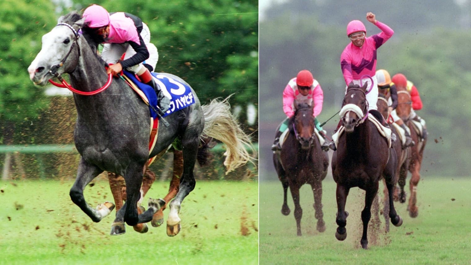【宝塚記念】兄弟による年度代表馬争いに春から沸いた1994年のサマーグランプリ