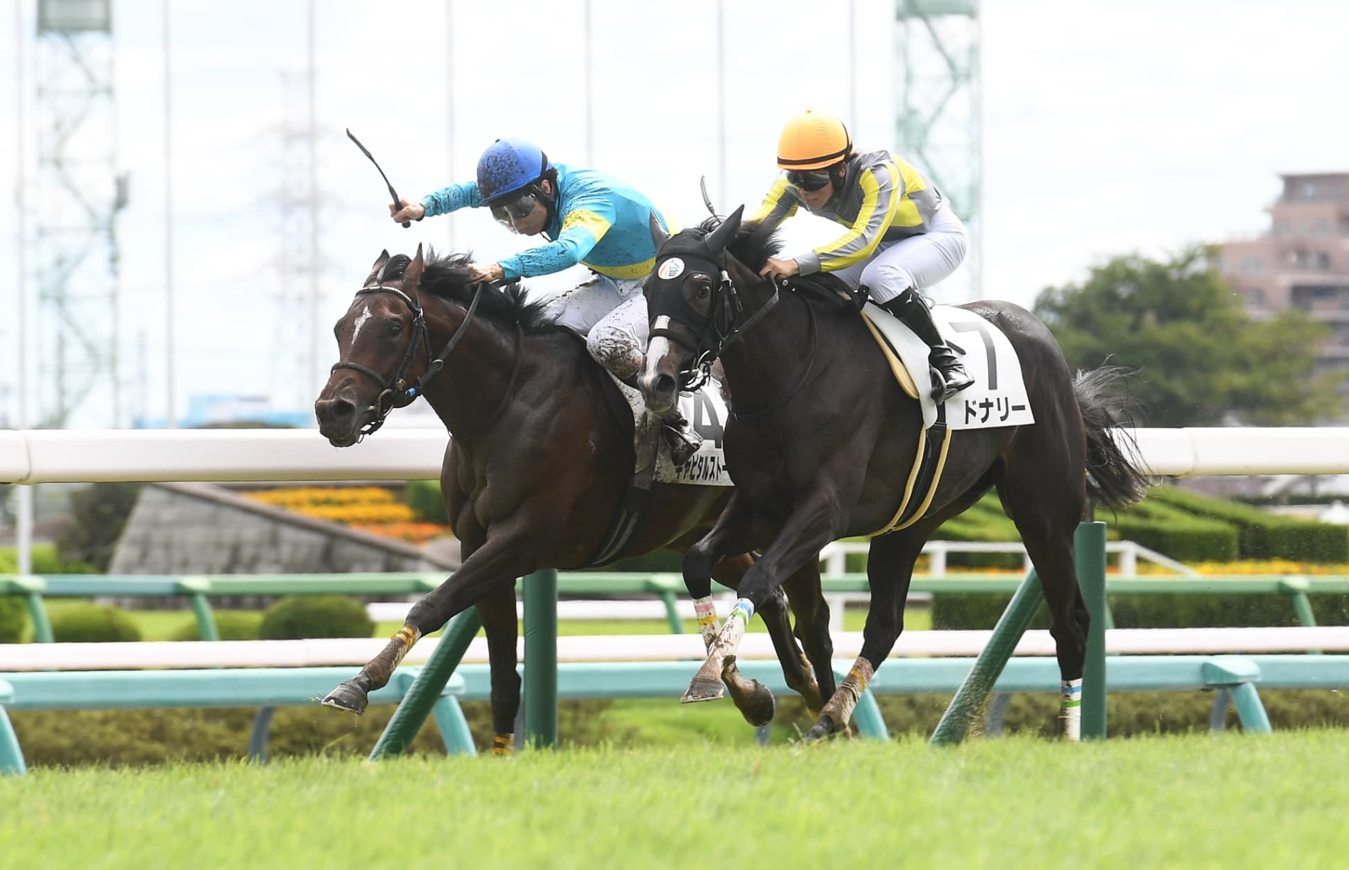 2歳馬情報：キャピタルストーン（エバーミランダの2024）
