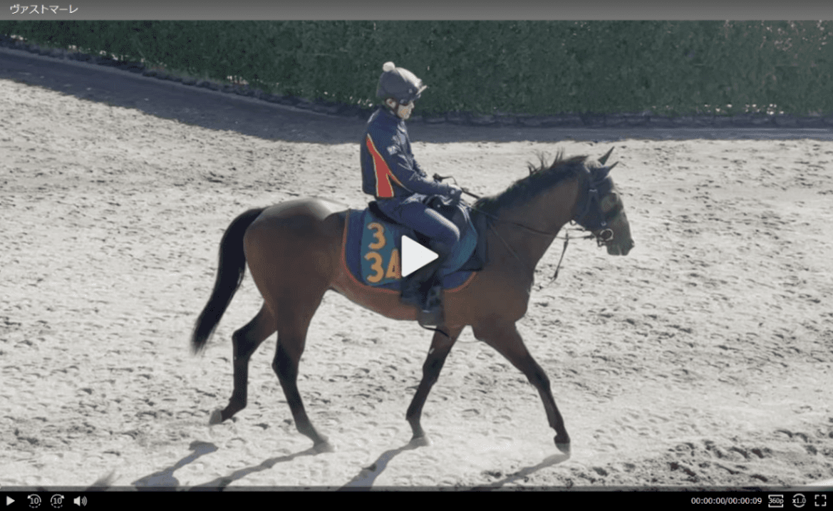 週刊Gallop Online｜競馬をもっと深く楽しむ