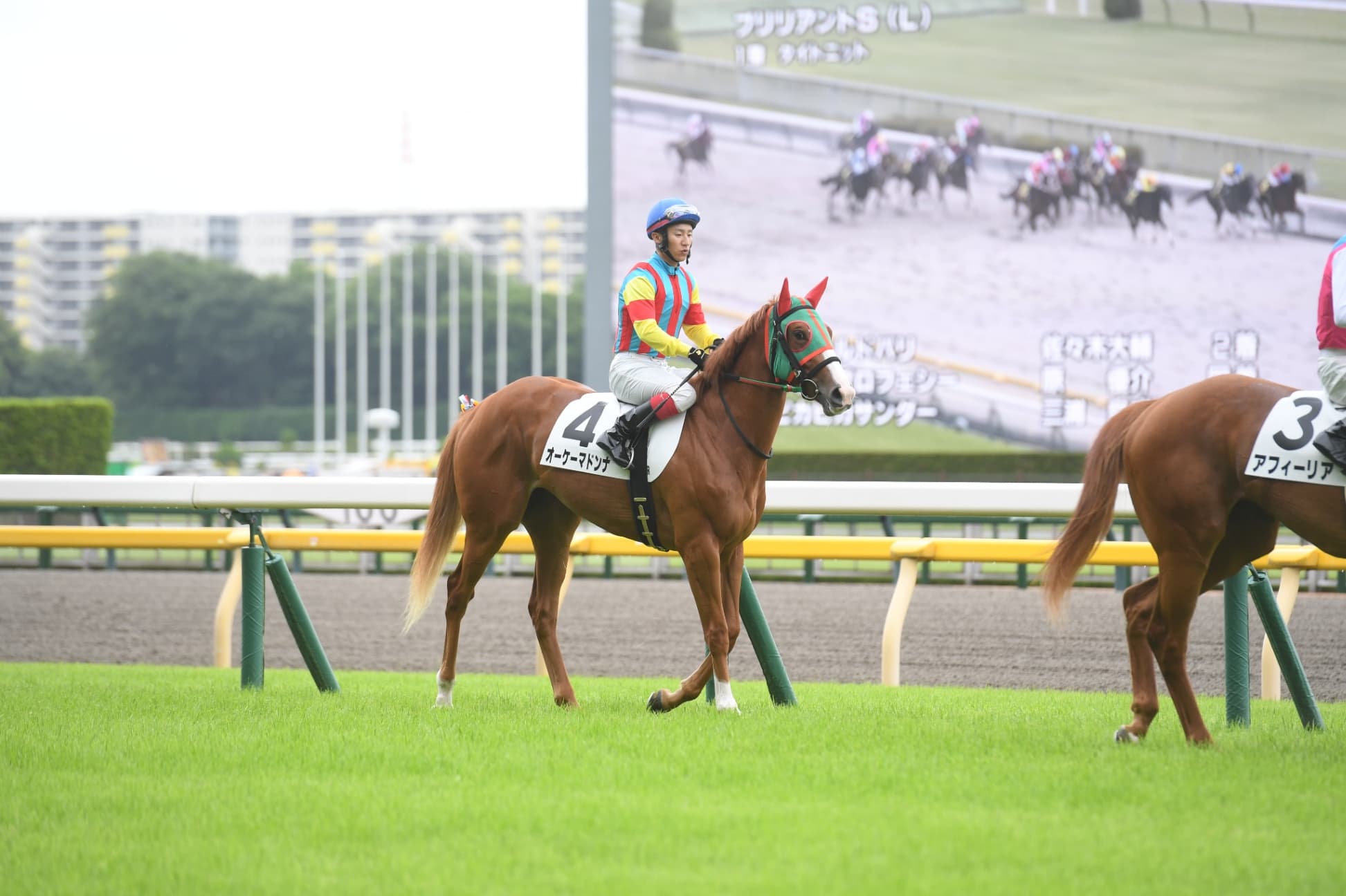 （419）～2戦目の変わり身に期待・オーケーマドンナ