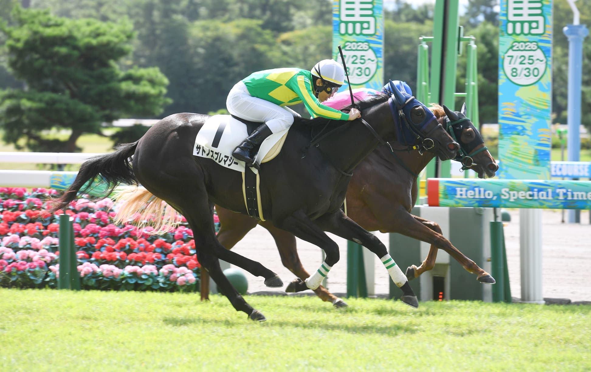 2歳馬情報：サトノスプレマシー（サマーソワレの2024）