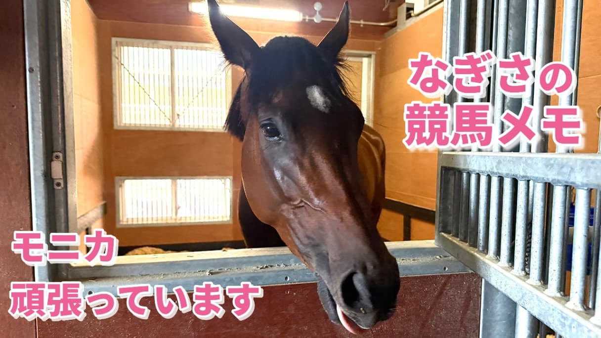 モニカ頑張っています