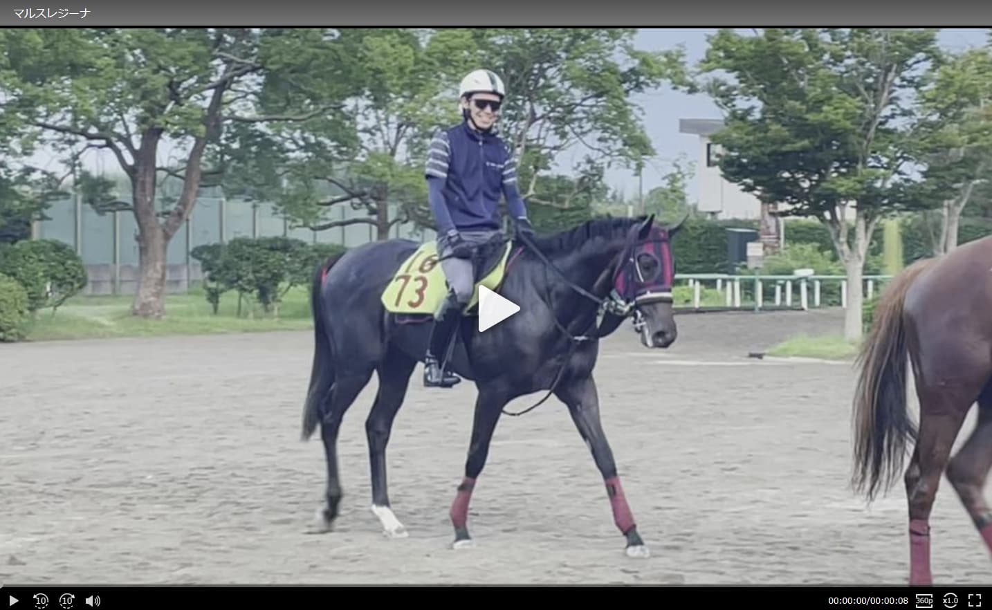 【動画・2歳盛り】マルスレジーナ