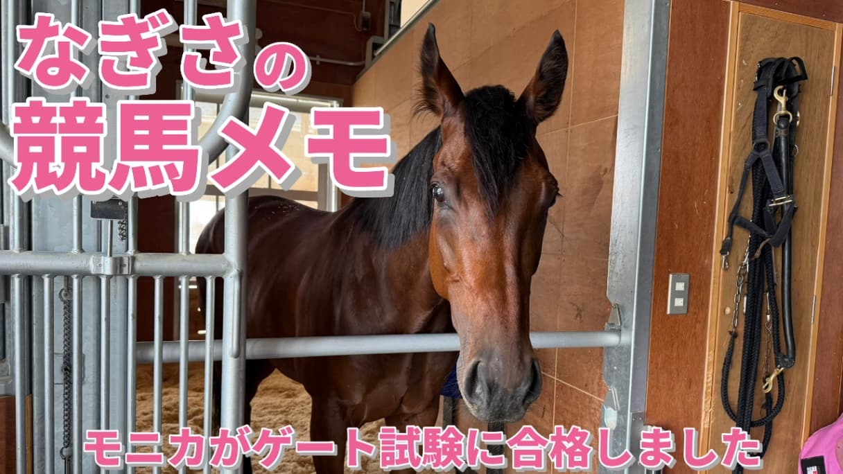 モニカがゲート試験に合格しました