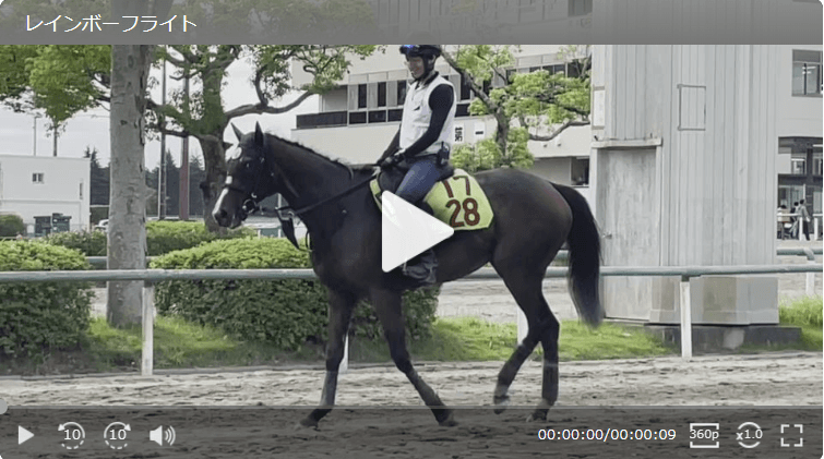 【動画・2歳盛り】レインボーフライト