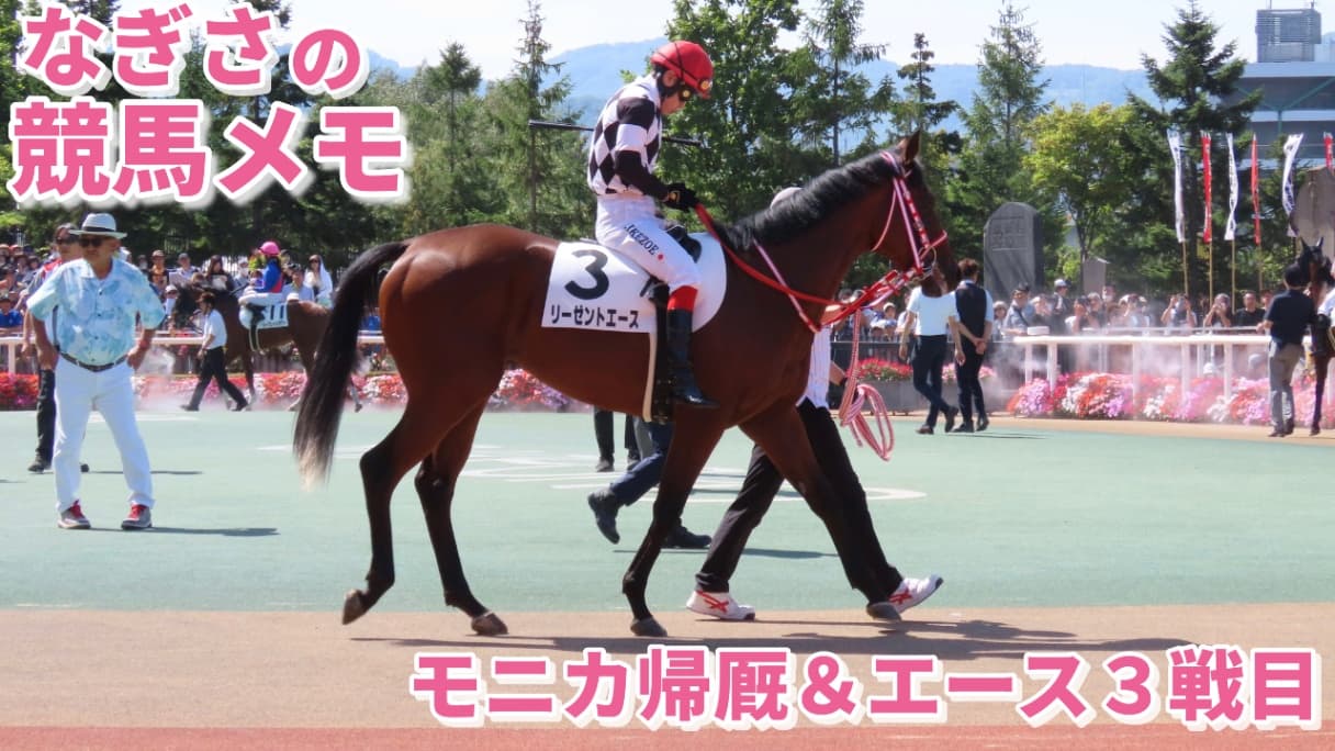 【なぎさの競馬メモ】モニカ帰厩＆エース３戦目