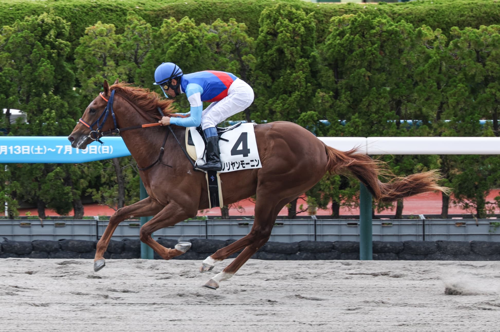 2歳馬情報：ノリヤンモーニン（レイアリイの2024）