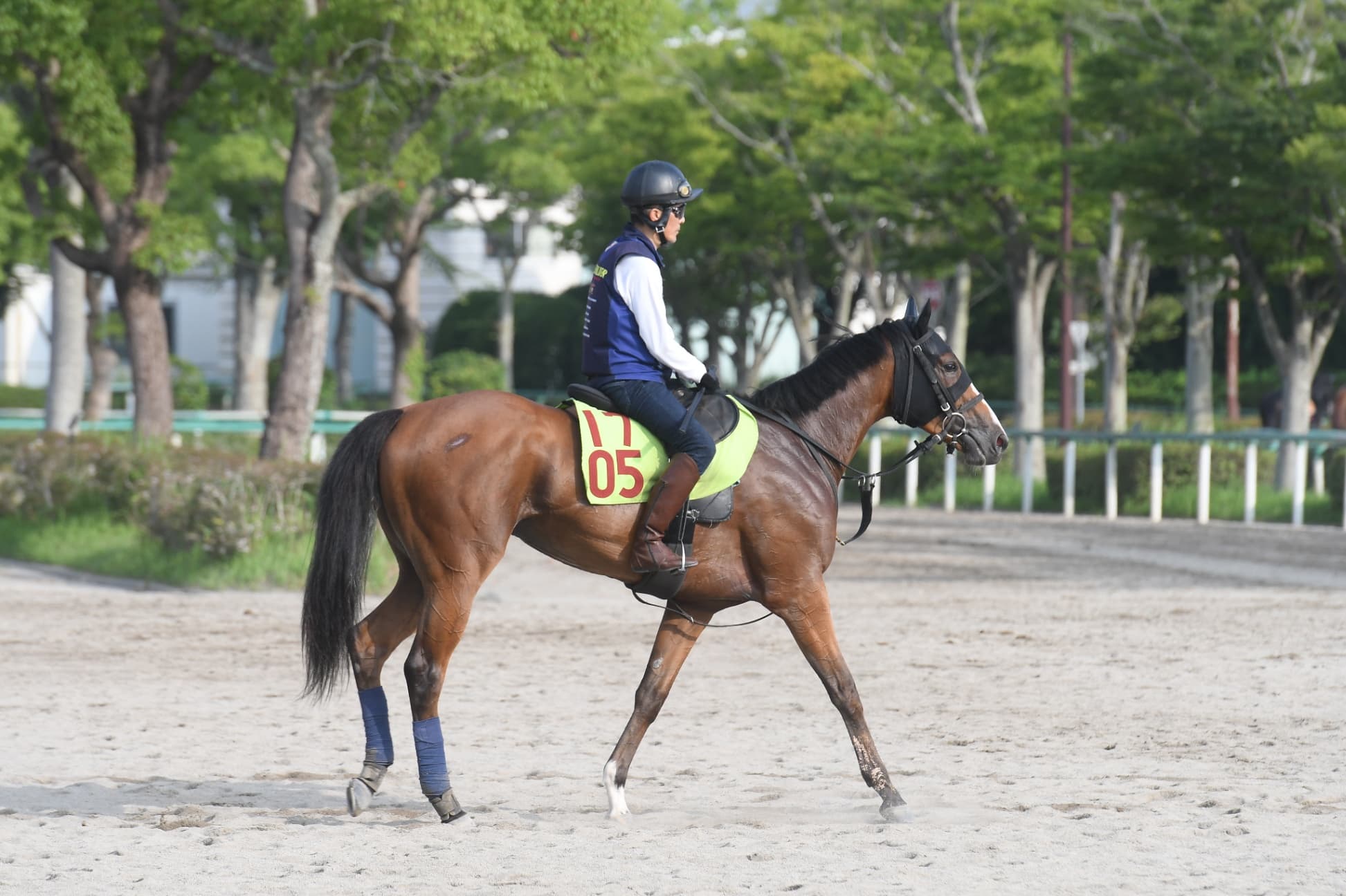 週刊Gallop Online｜競馬をもっと深く楽しむ