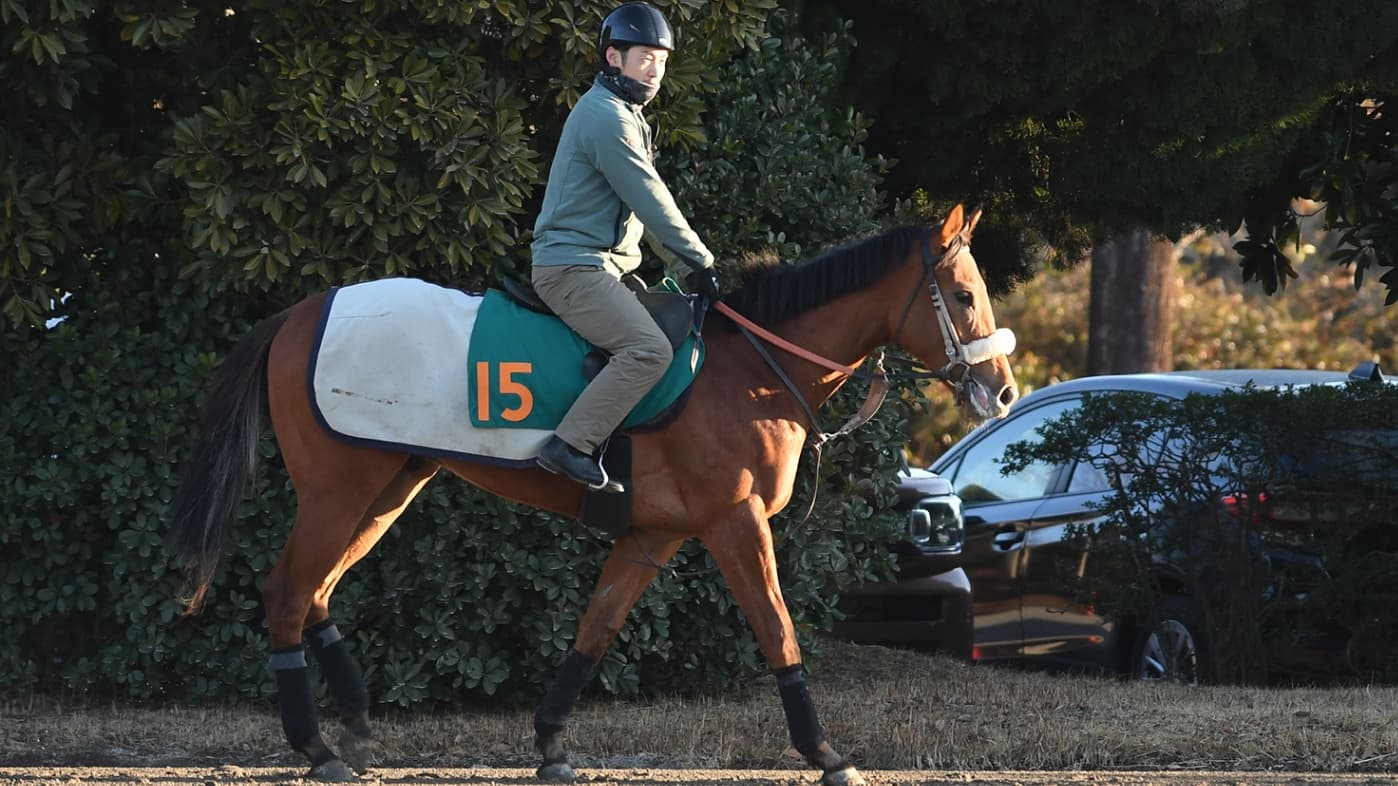 2歳馬情報：ダイメイビッグボス（ミスチヴァスミスティの2024)3月中旬