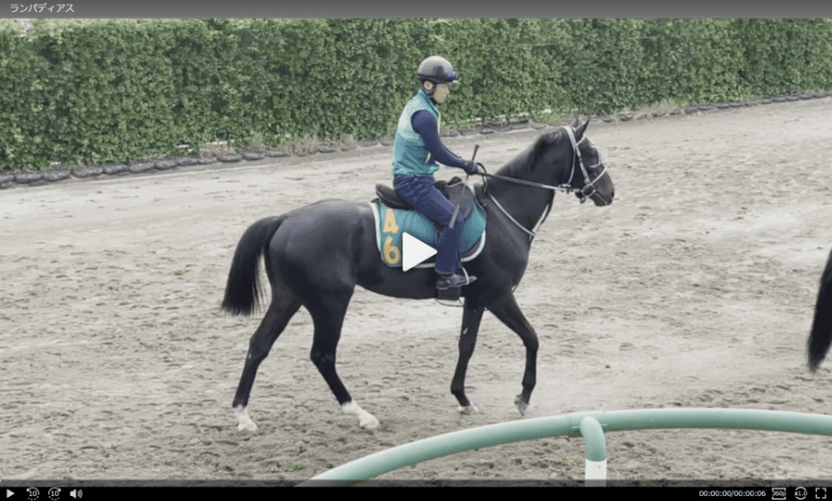 【動画・2歳盛り】ランパディアス