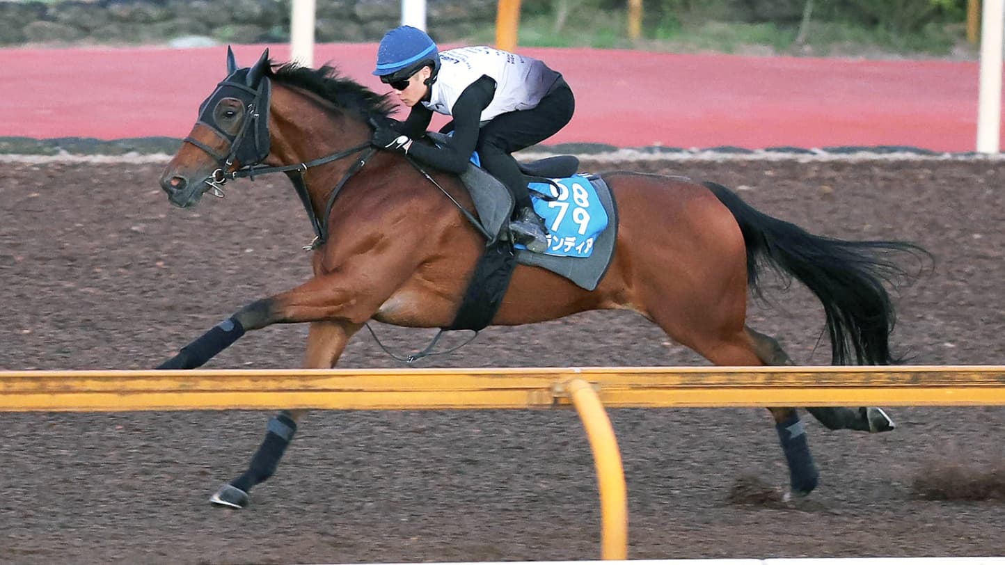 札幌記念（8月16日 札幌 GⅡ 芝2000㍍）