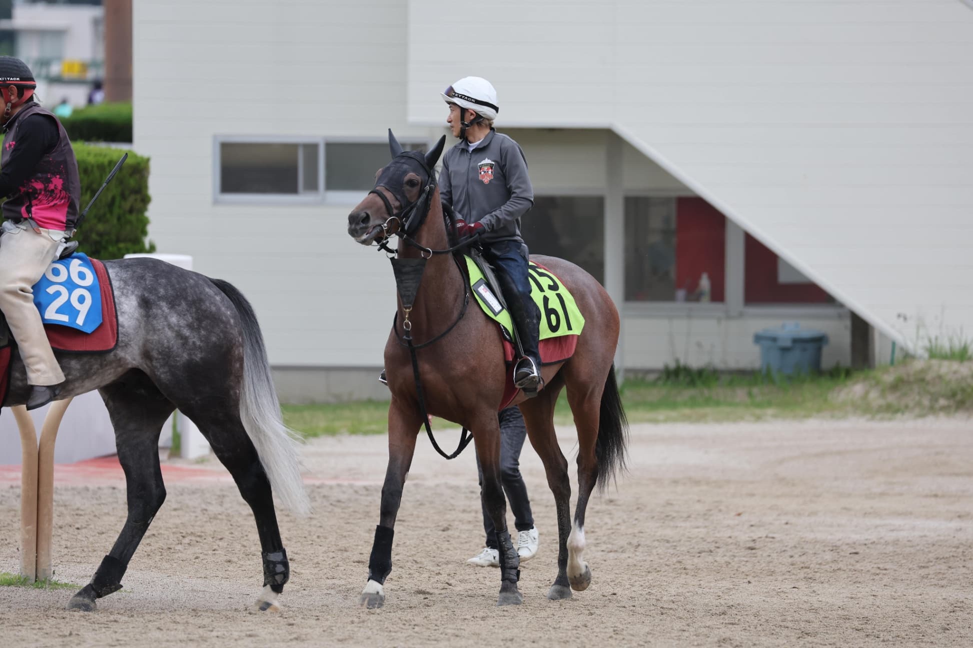 週刊Gallop Online｜競馬をもっと深く楽しむ