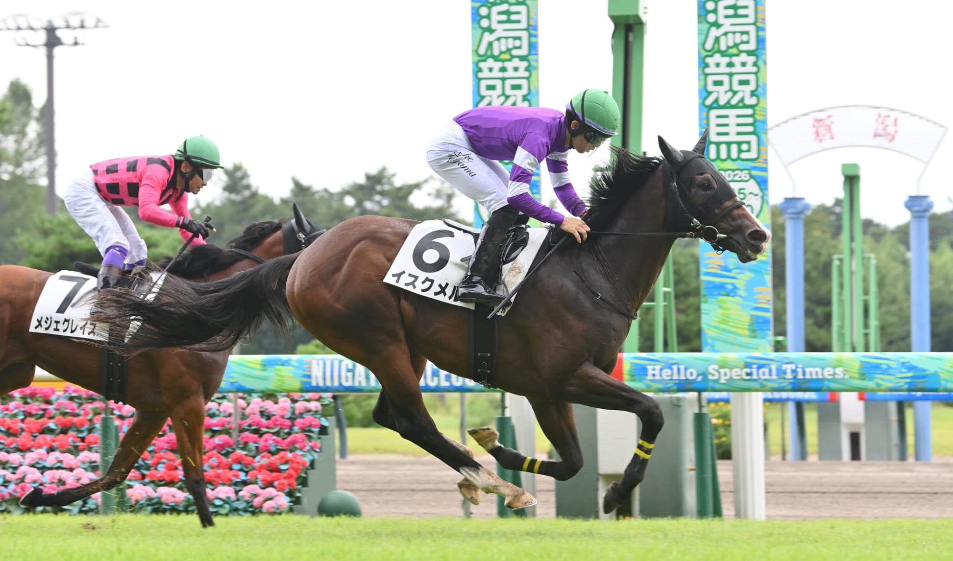 2歳馬情報：イスクメル（エルビッシュの2024）