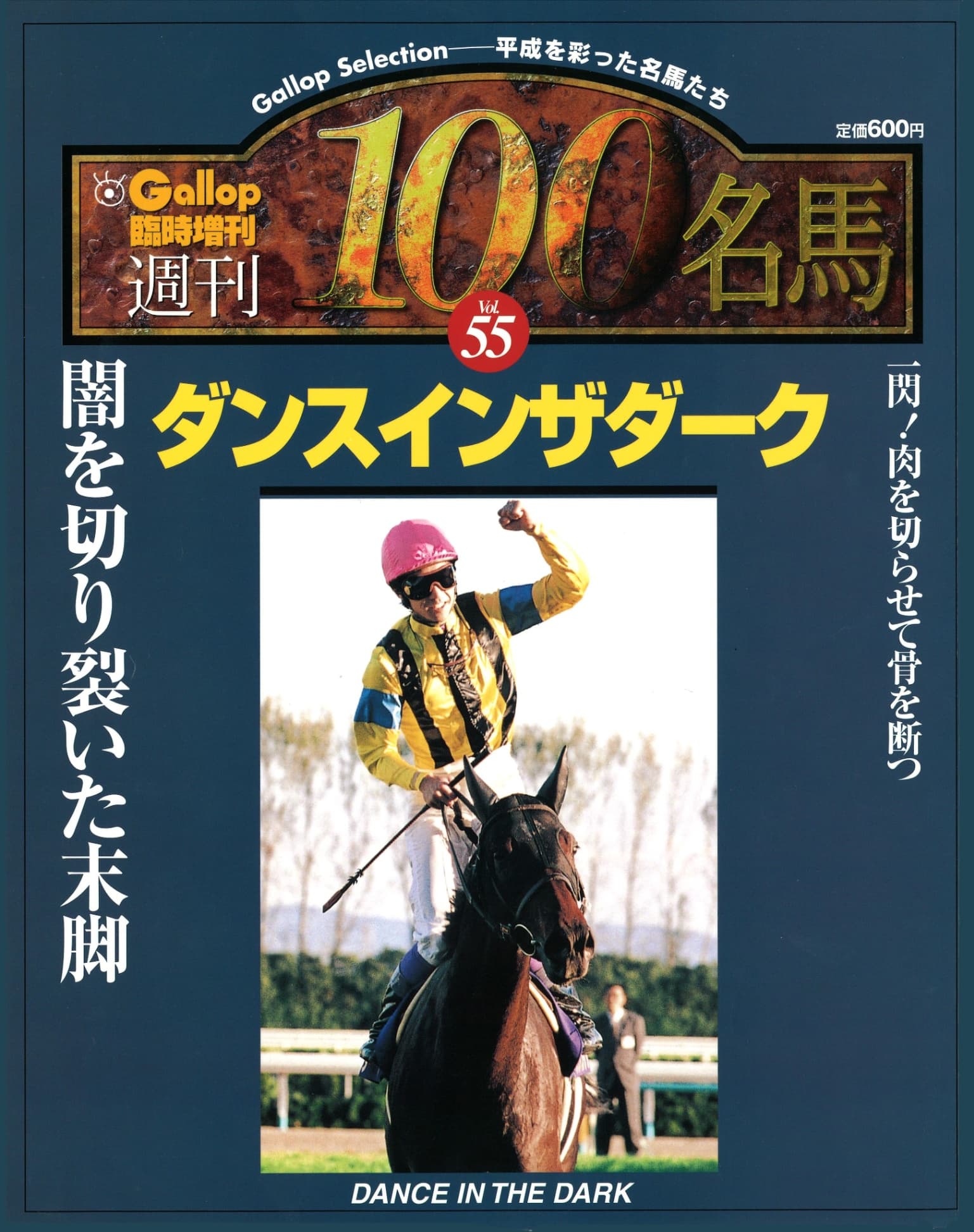 復刻【週刊100名馬】ダンスインザダーク