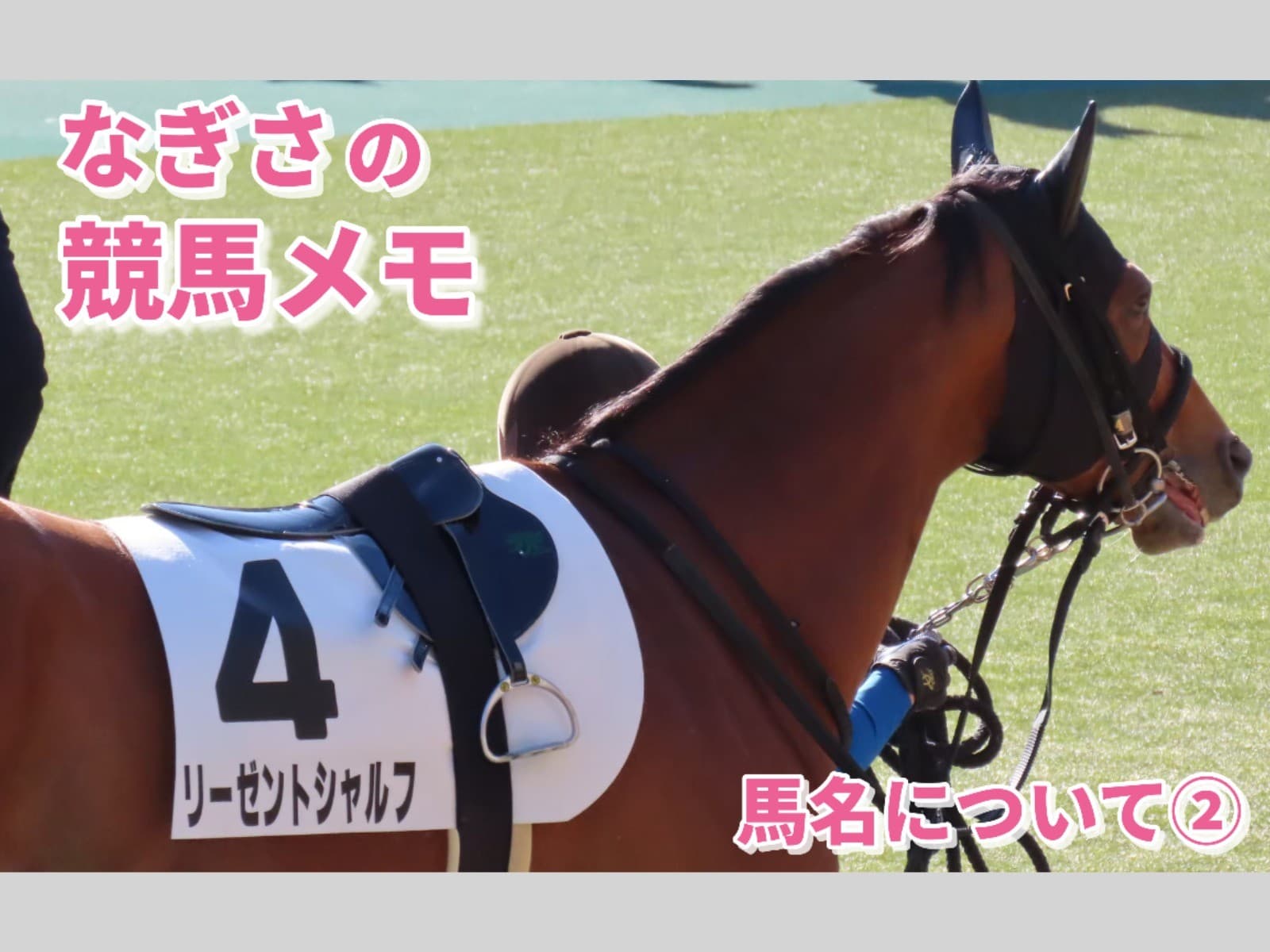 なぎさの競馬メモ:馬名について②
