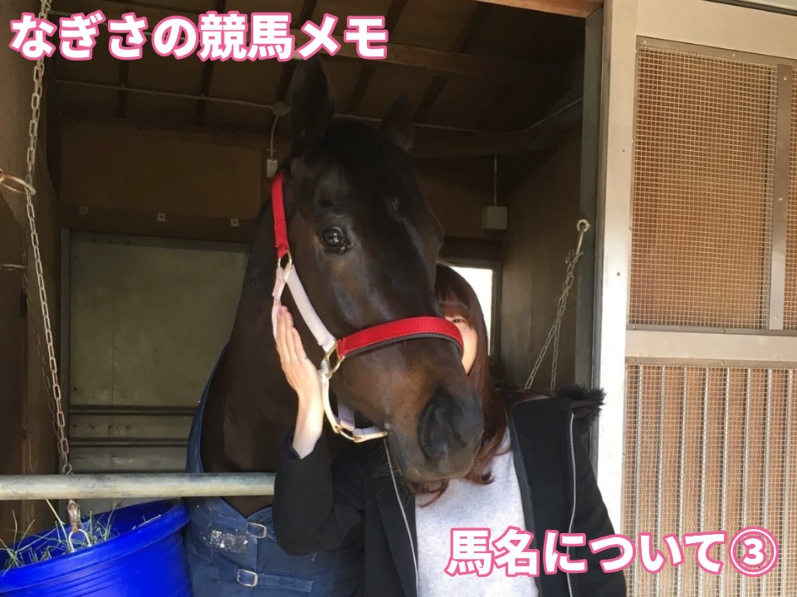 なぎさの競馬メモ:馬名について③