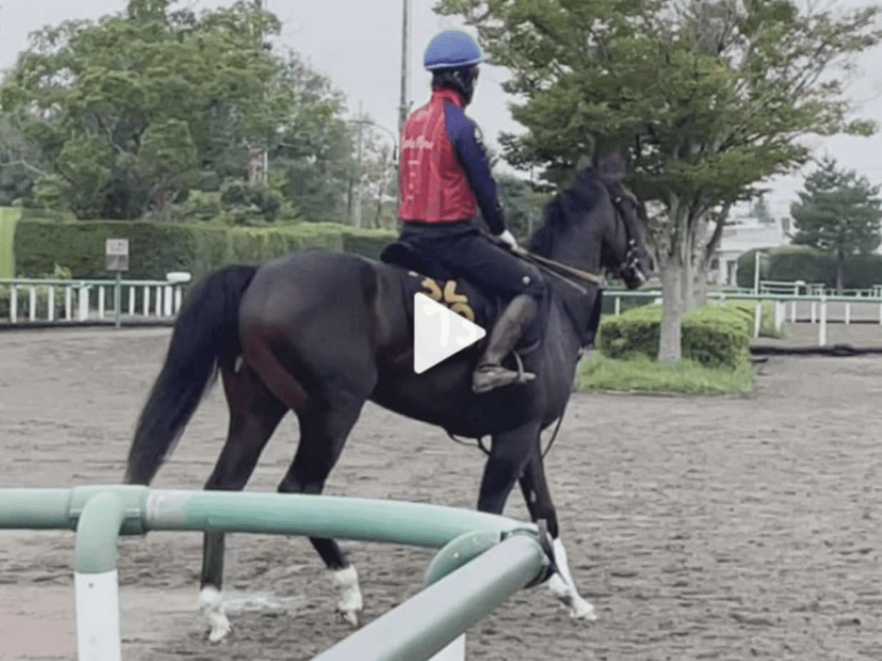 【動画・2歳盛り】ジェットシェヴロン