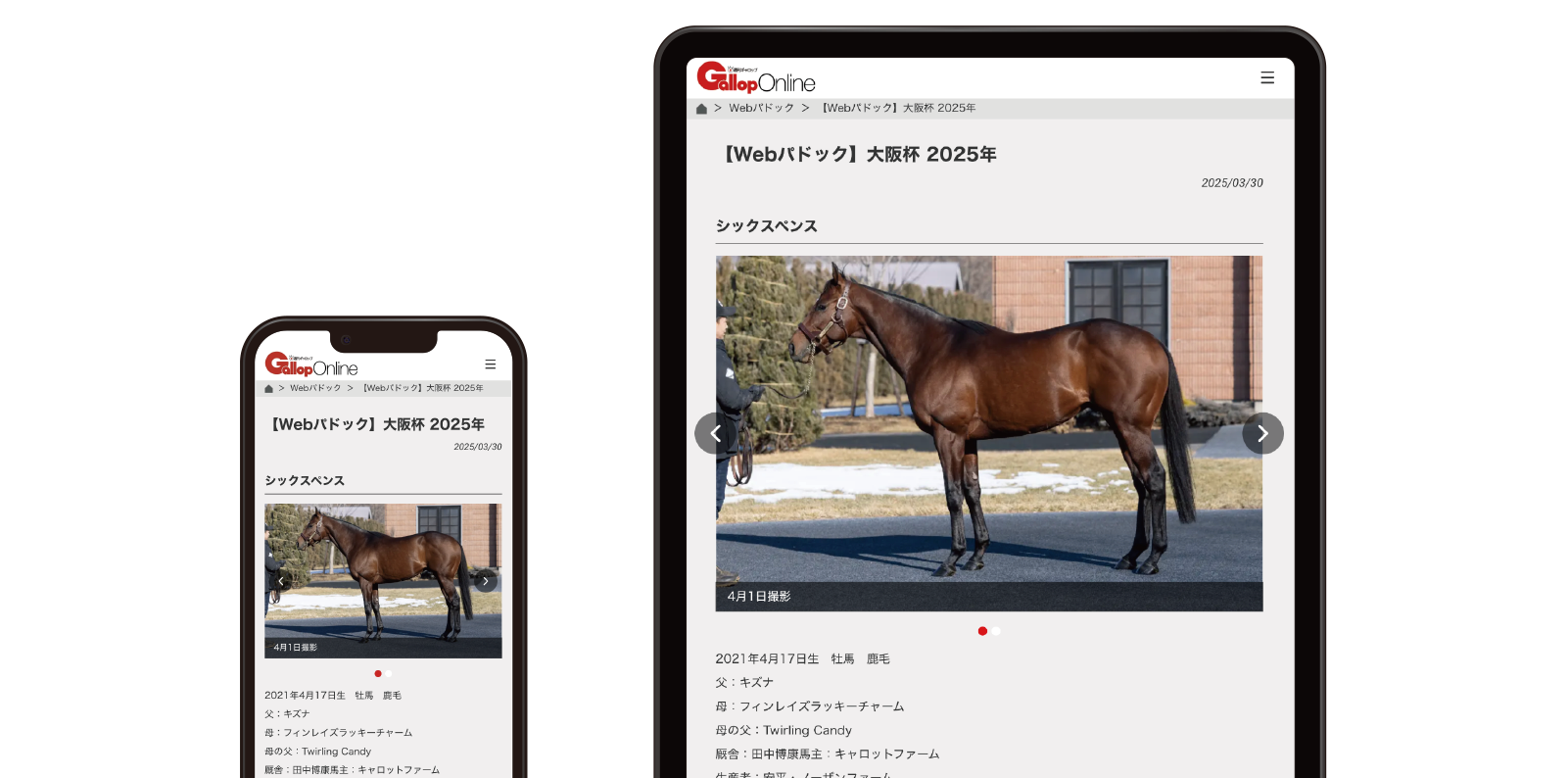 全ての記事が読み放題